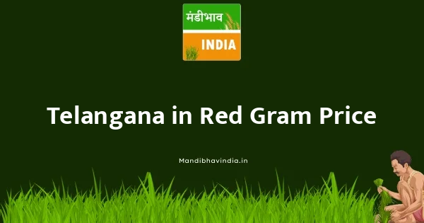 Red Gram भाव